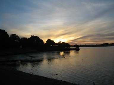  Tamaki Estuary rotary walk
